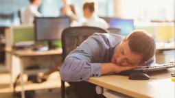 Are Lazy People The Best Employees?