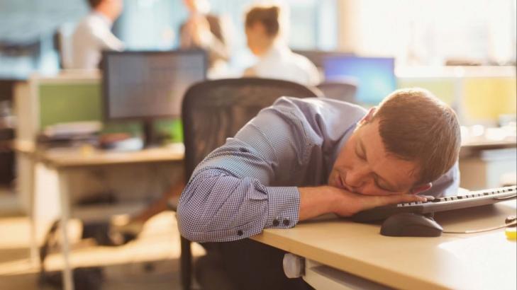 Are Lazy People The Best Employees?