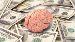 Money or Knowledge; Which Is Better? What Does the Corona Pandemic Tell Us about This Topic?