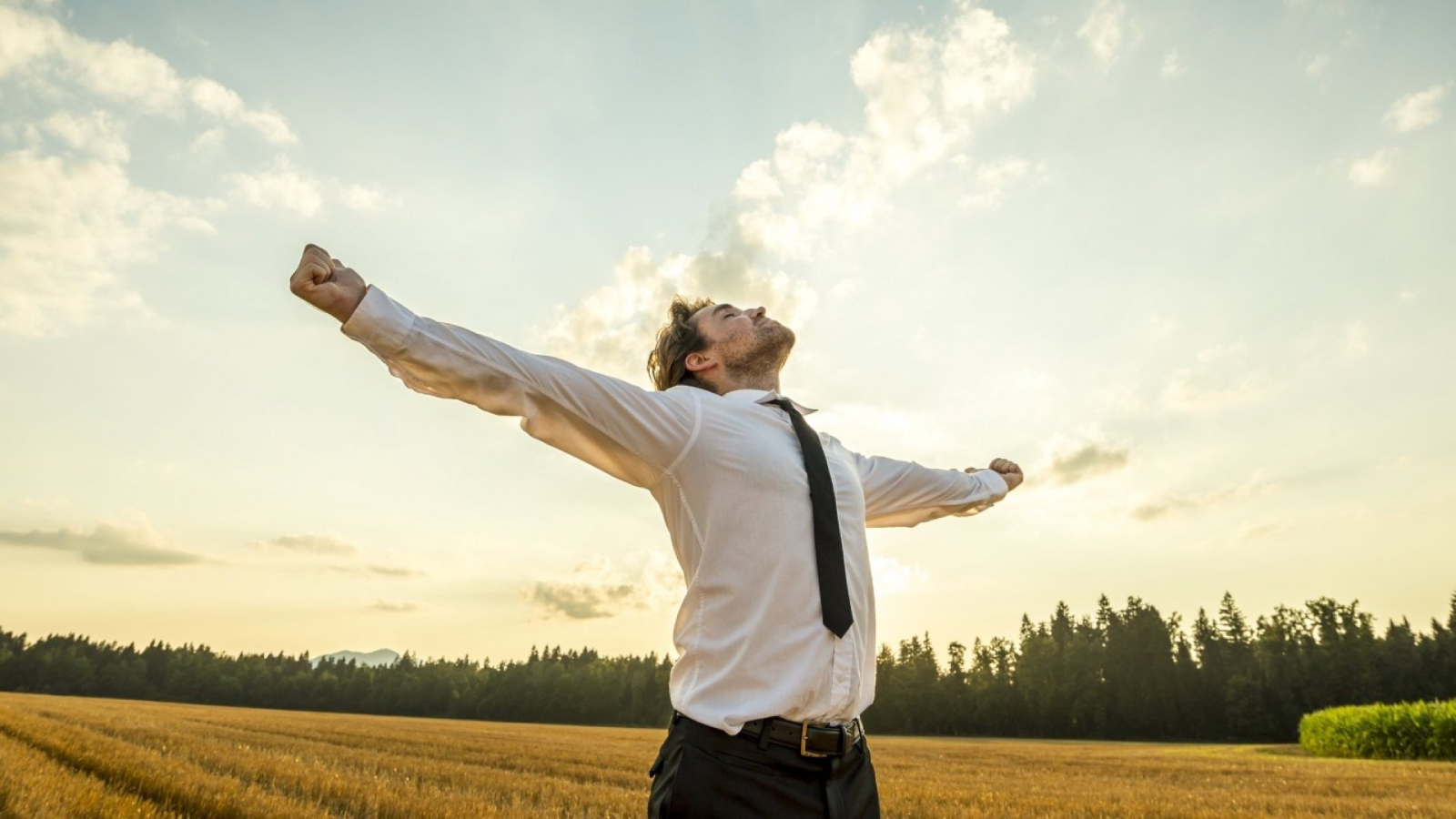 Driving Forces: What Motivates Success and Progress in Life?