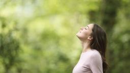 Reasons Why It's Not a Good Idea to 