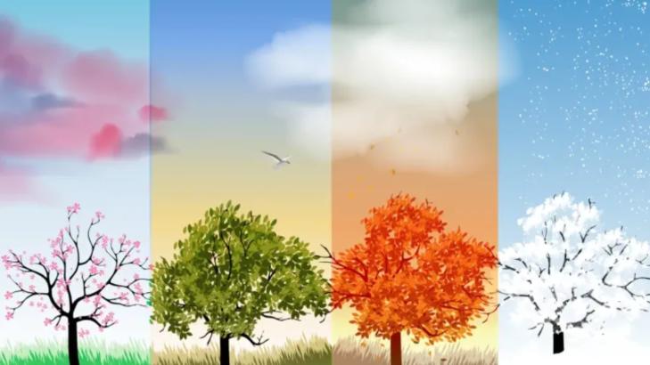 Seasonal Changes Impact on Our Emotions