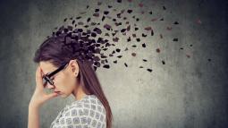 All You Need to Know About the Different Types of Memory and the Factors Affecting Them